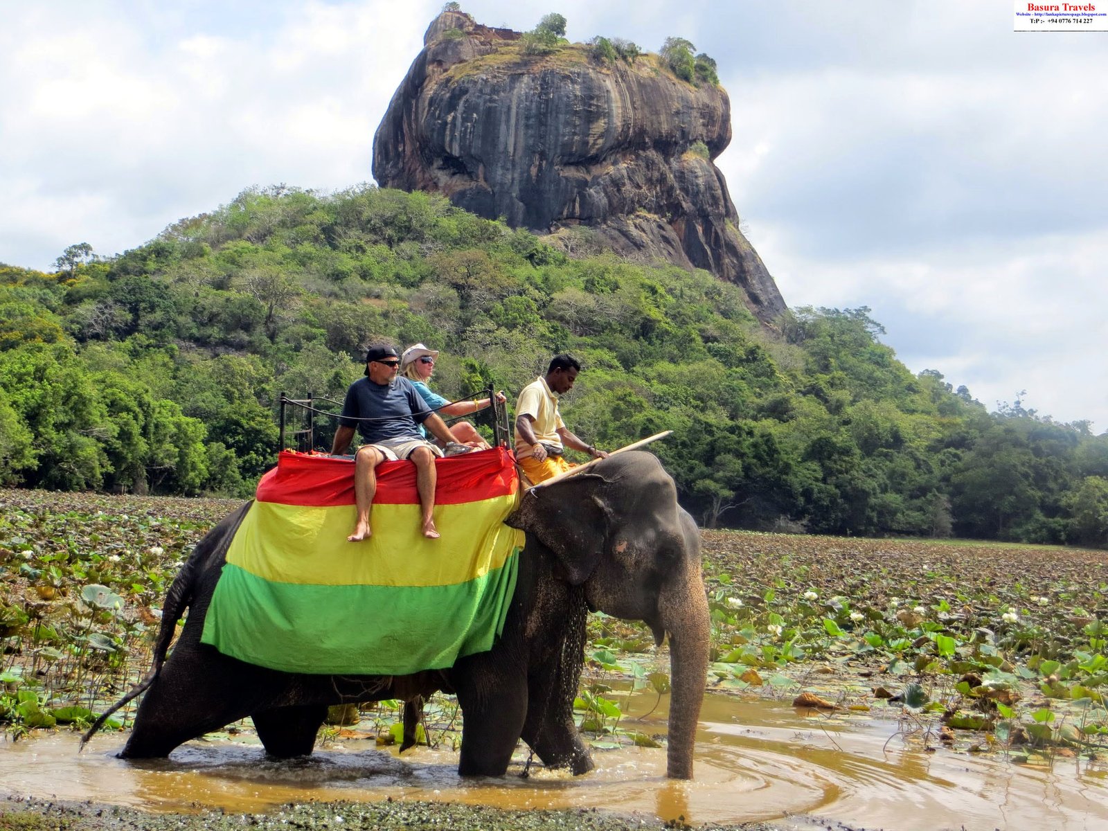 Elephant Ride