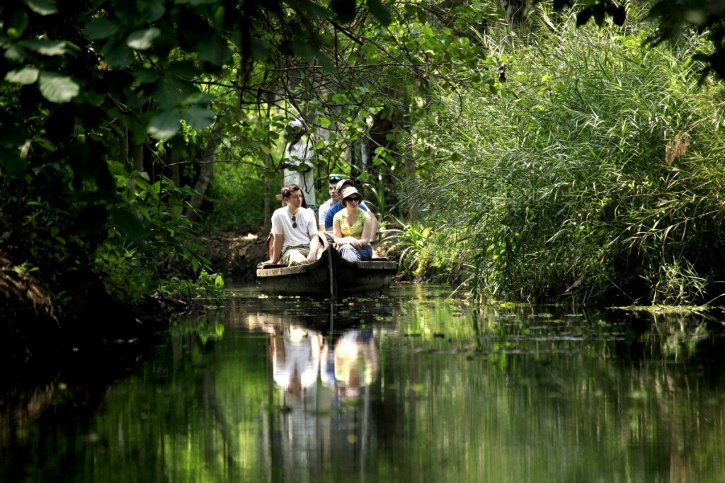 Nature Tours